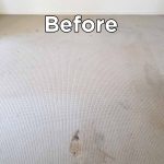 Before Carpet Cleaning Food Stains