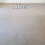 After Carpet Cleaning Food Stains