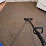 Before Carpet Steam Cleaning
