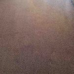 After Carpet Steam Cleaning