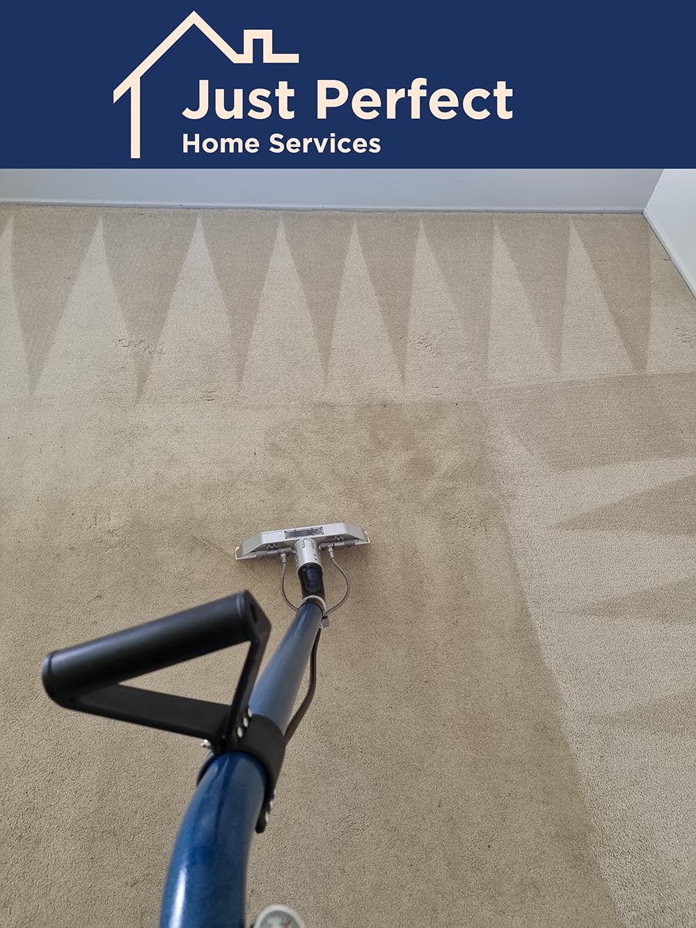 Carpet Cleaner Hope Island