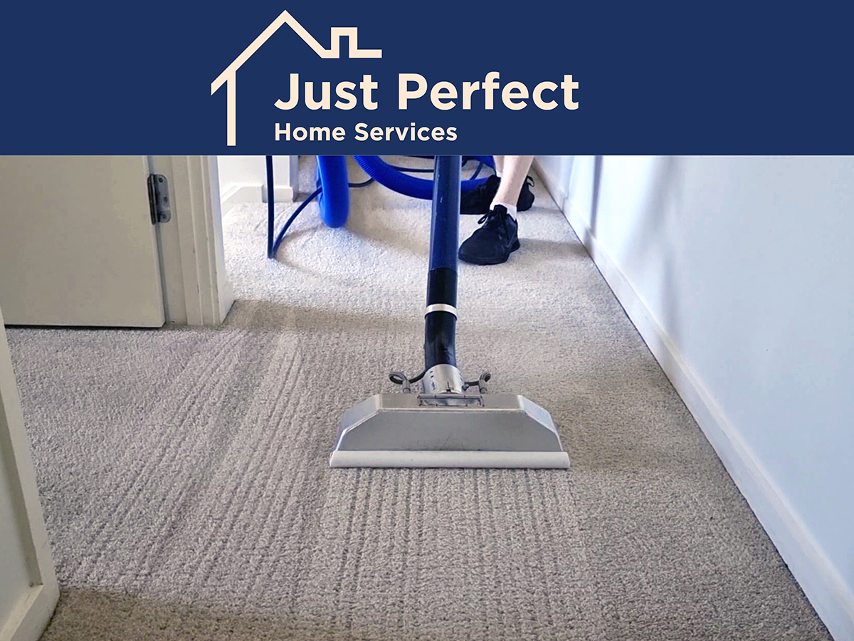 Professional Carpet Cleaning Pacific Pines