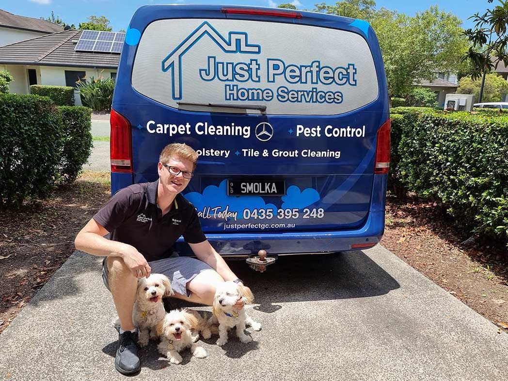 Carpet Cleaning Oxenford